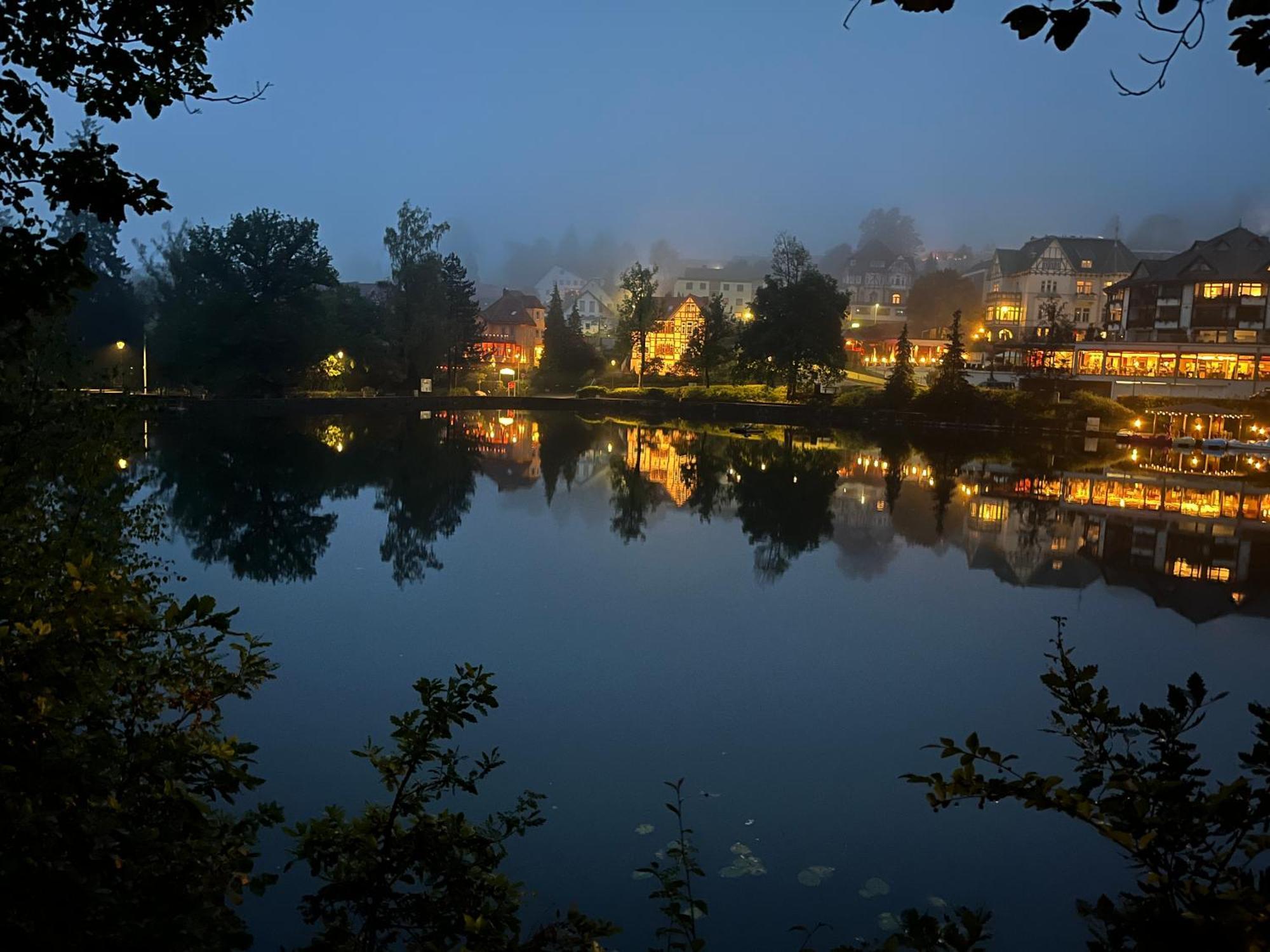 Haus Am See باد ساخسا المظهر الخارجي الصورة