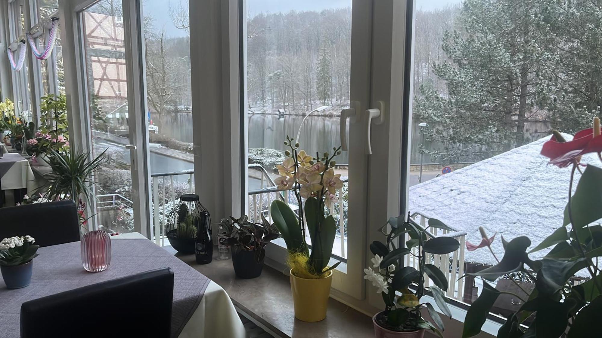Haus Am See باد ساخسا المظهر الخارجي الصورة