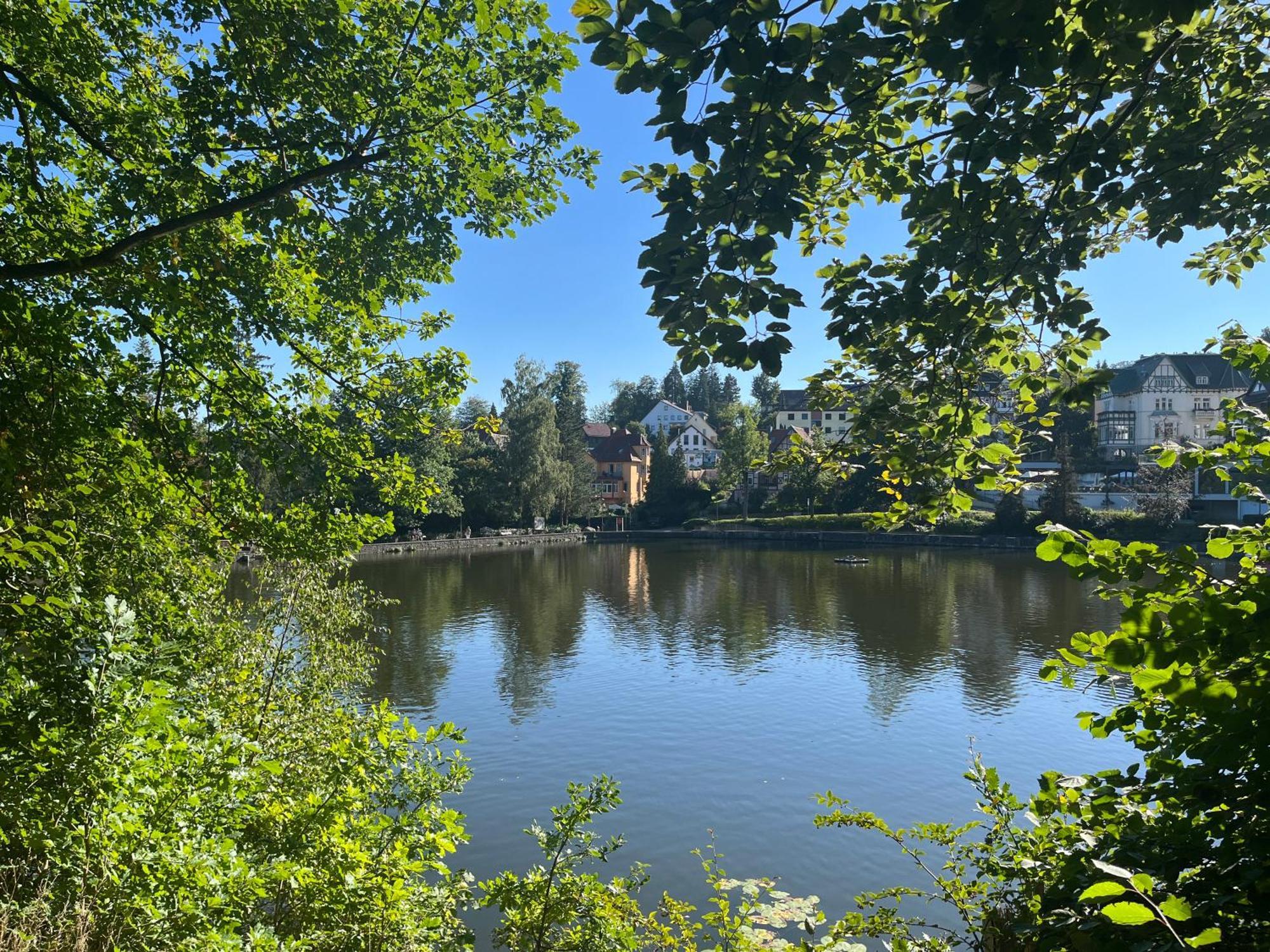 Haus Am See باد ساخسا المظهر الخارجي الصورة